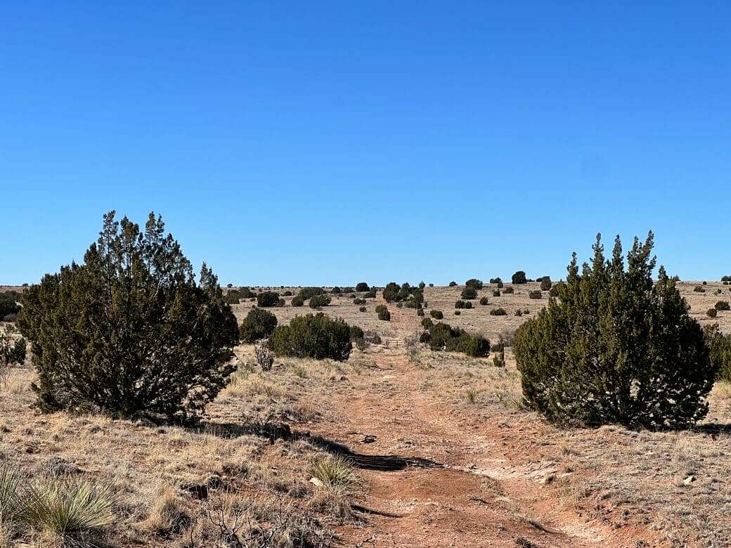 5 Acres of Residential Land for Sale in Conchas, New Mexico