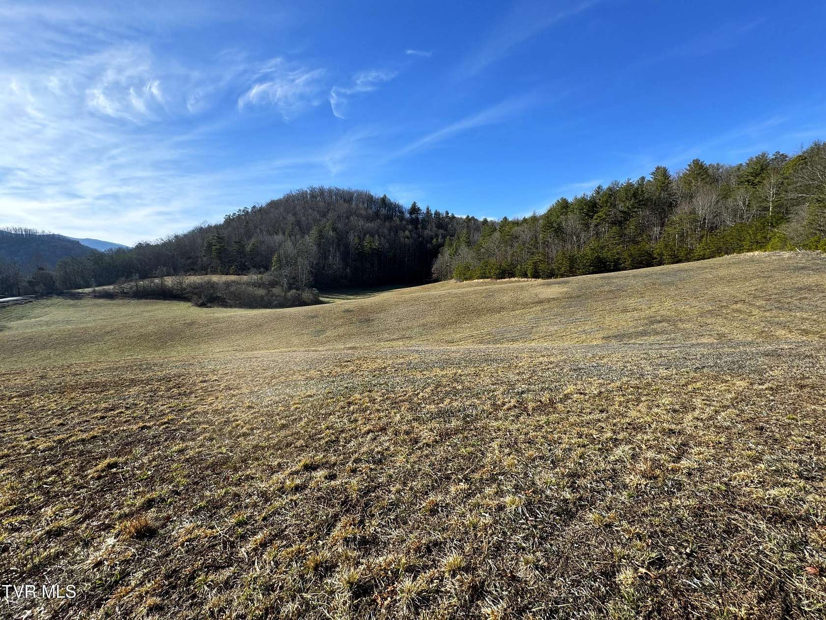 41.9 Acres of Agricultural Land for Sale in Del Rio, Tennessee