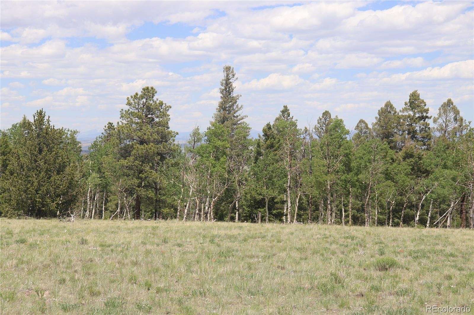 2.5 Acres of Residential Land for Sale in Hartsel, Colorado