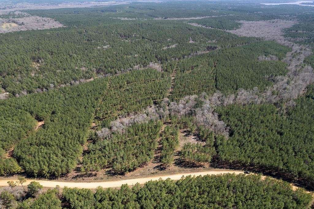 14 Acres of Recreational Land for Sale in Nacogdoches, Texas