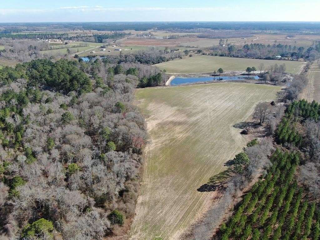 21.55 Acres of Land for Sale in Nicholls, Georgia