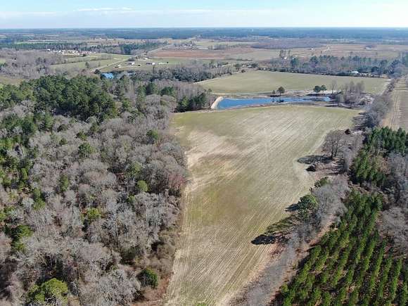 21.6 Acres of Land for Sale in Nicholls, Georgia