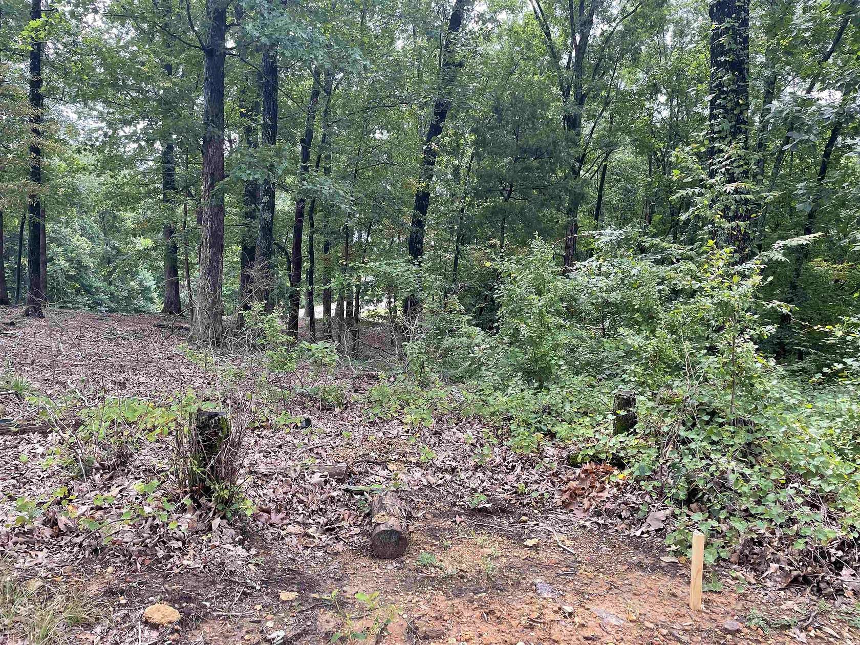 0.5 Acres of Residential Land for Sale in Savannah, Tennessee