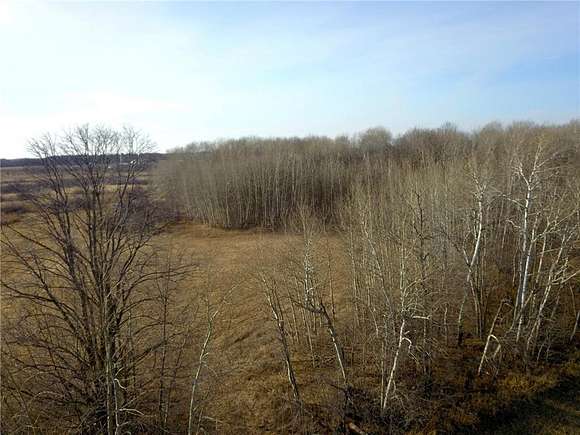 40.4 Acres of Land for Sale in Little Falls, Minnesota
