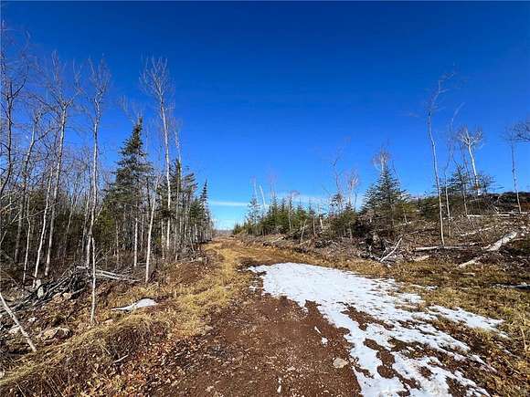 80 Acres of Recreational Land for Sale in Superior, Wisconsin