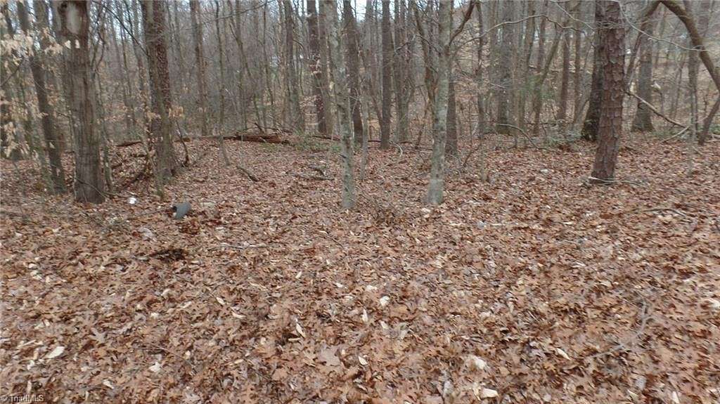 2.9 Acres of Residential Land for Sale in Ronda, North Carolina