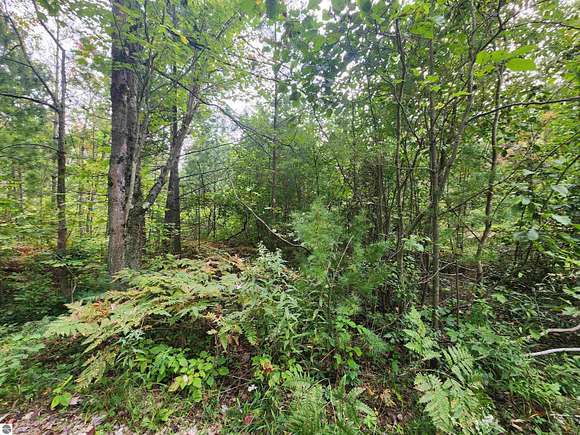 11 Acres of Land for Sale in Spruce, Michigan