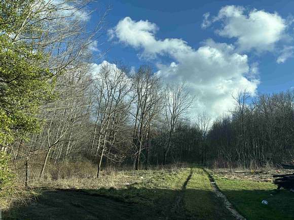 4.9 Acres of Residential Land for Sale in Belington, West Virginia