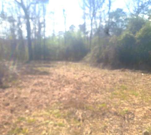 0.5 Acres of Residential Land for Sale in Crane Hill, Alabama