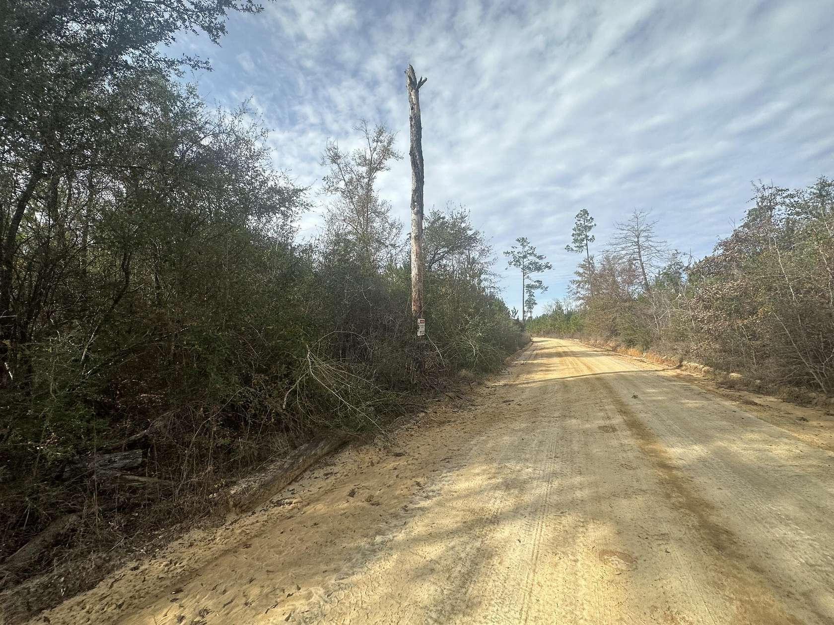 40 Acres of Recreational Land & Farm for Sale in Bonifay, Florida