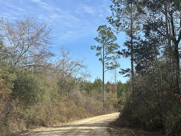 40 Acres of Recreational Land & Farm for Sale in Bonifay, Florida