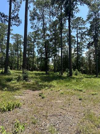 1 Acre of Residential Land for Sale in Brookeland, Texas