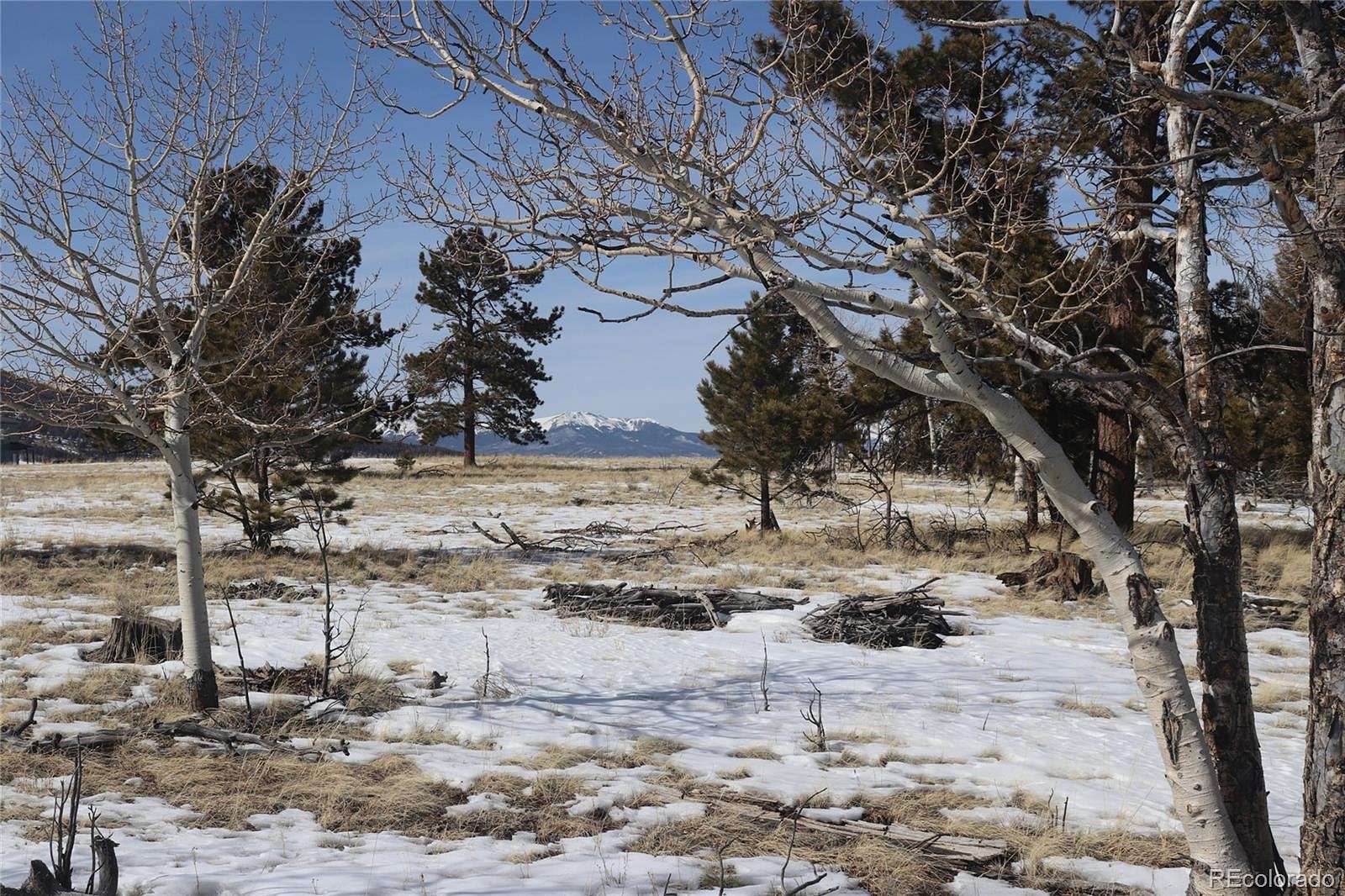 3 Acres of Residential Land for Sale in Hartsel, Colorado