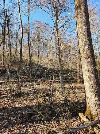 0.6 Acres of Residential Land for Sale in Soddy-Daisy, Tennessee