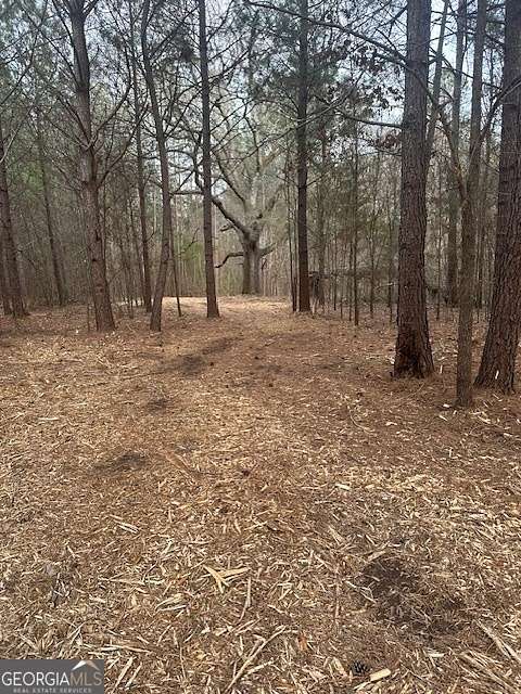 5 Acres of Residential Land for Sale in Milner, Georgia