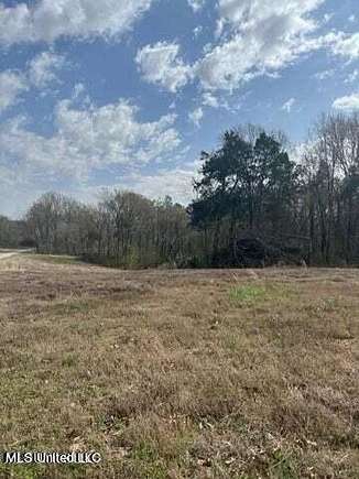 4 Acres of Residential Land for Sale in Sarah, Mississippi