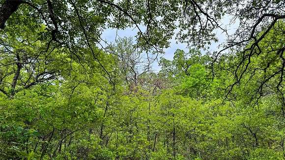 0.5 Acres of Residential Land for Sale in Nocona, Texas