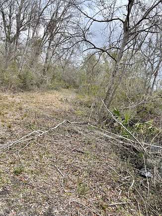 14.7 Acres of Recreational Land for Sale in Perry, Florida
