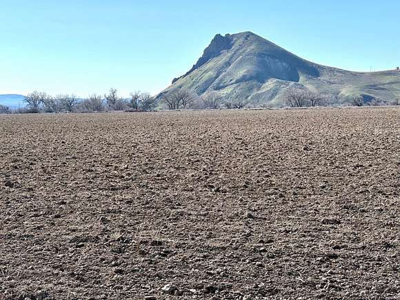 152 Acres of Agricultural Land for Sale in Ontario, Oregon