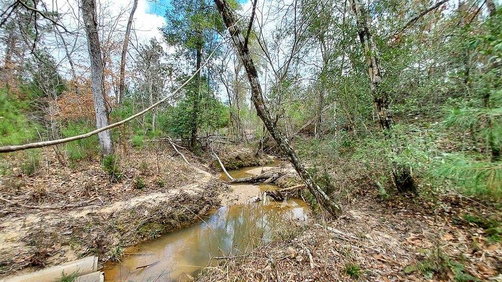 69.9 Acres of Recreational Land for Sale in Livingston, Texas