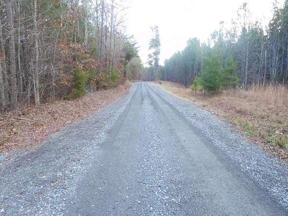 278 Acres of Recreational Land for Sale in Smyrna, South Carolina