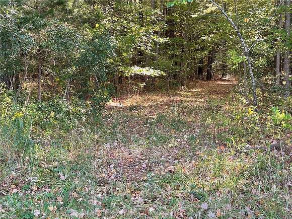 128 Acres of Recreational Land for Sale in Accomac, Virginia