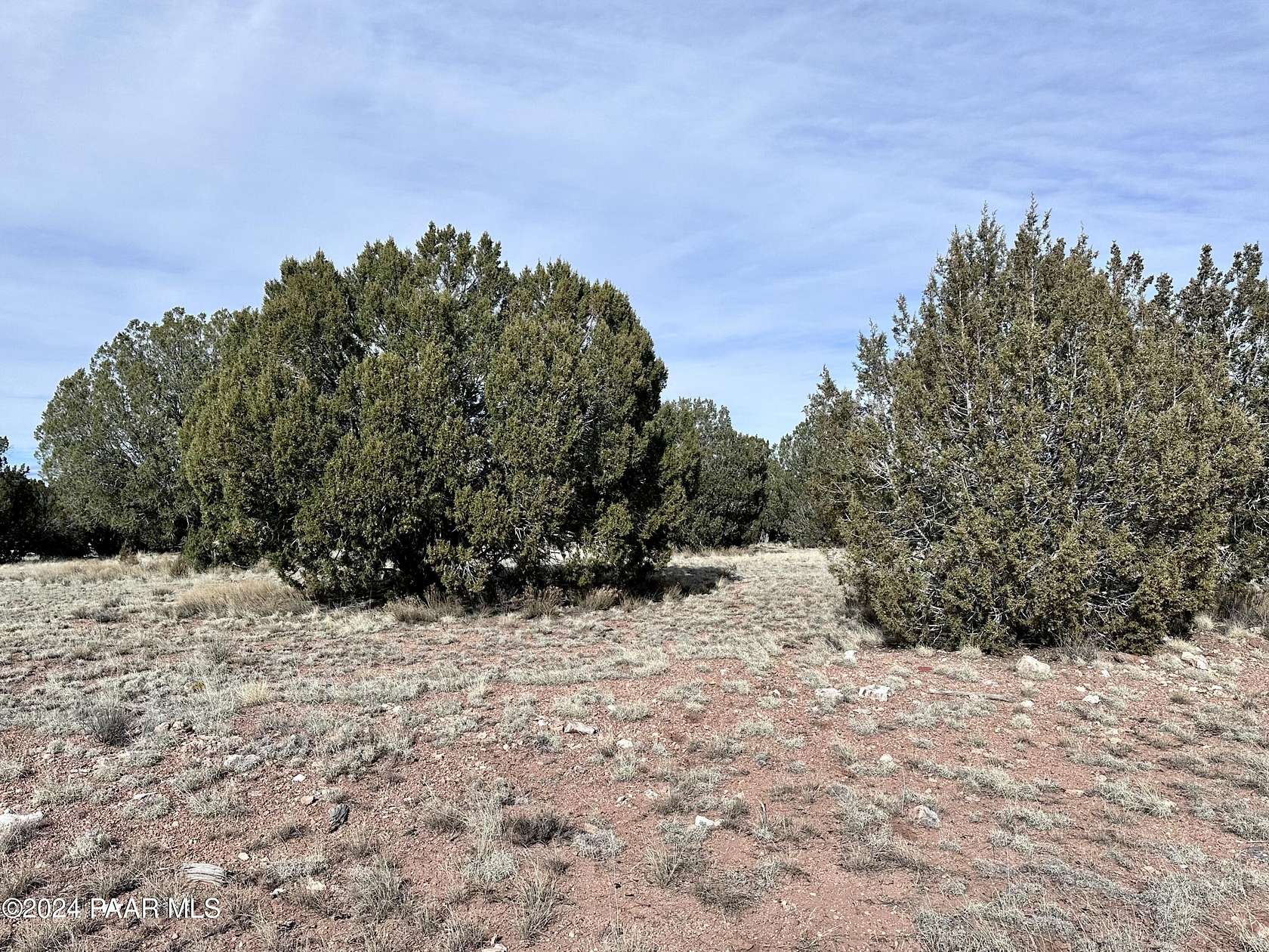39.9 Acres of Recreational Land for Sale in Seligman, Arizona