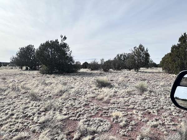 40 Acres of Recreational Land for Sale in Seligman, Arizona