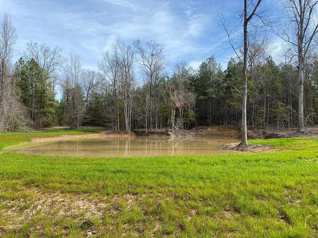 12.2 Acres of Land for Sale in Brookhaven, Mississippi