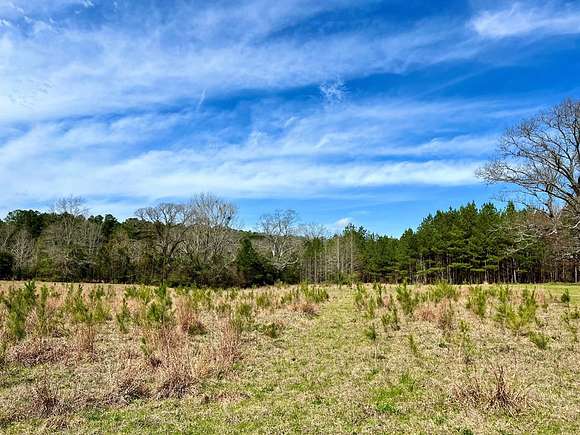 4.4 Acres of Residential Land for Sale in Liberty, Mississippi