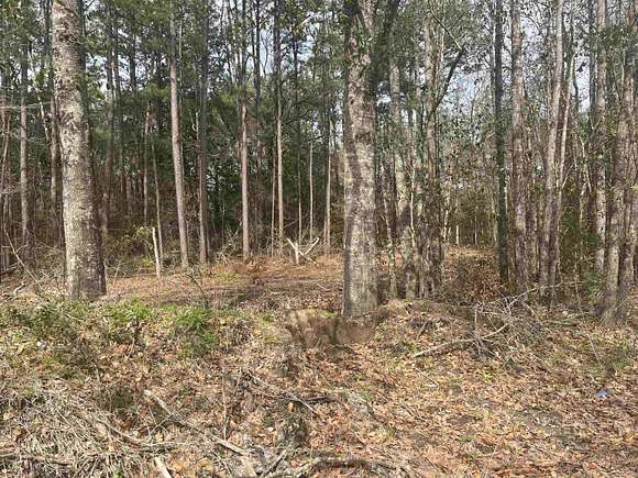 0.75 Acres of Residential Land for Sale in Kirbyville, Texas