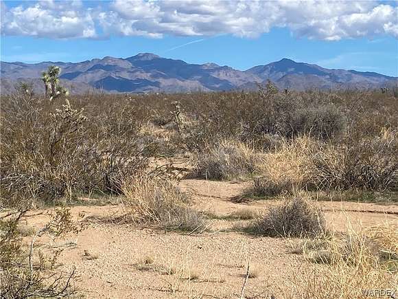 38.4 Acres of Recreational Land & Farm for Sale in Yucca, Arizona