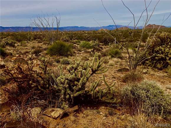 40 Acres of Agricultural Land for Sale in Yucca, Arizona