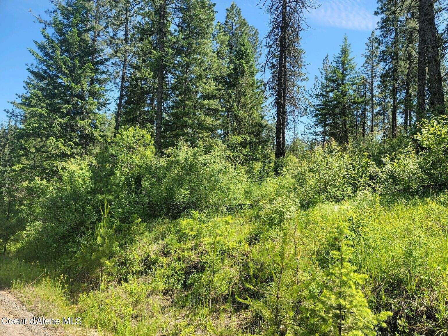 0.67 Acres of Residential Land for Sale in Harrison, Idaho