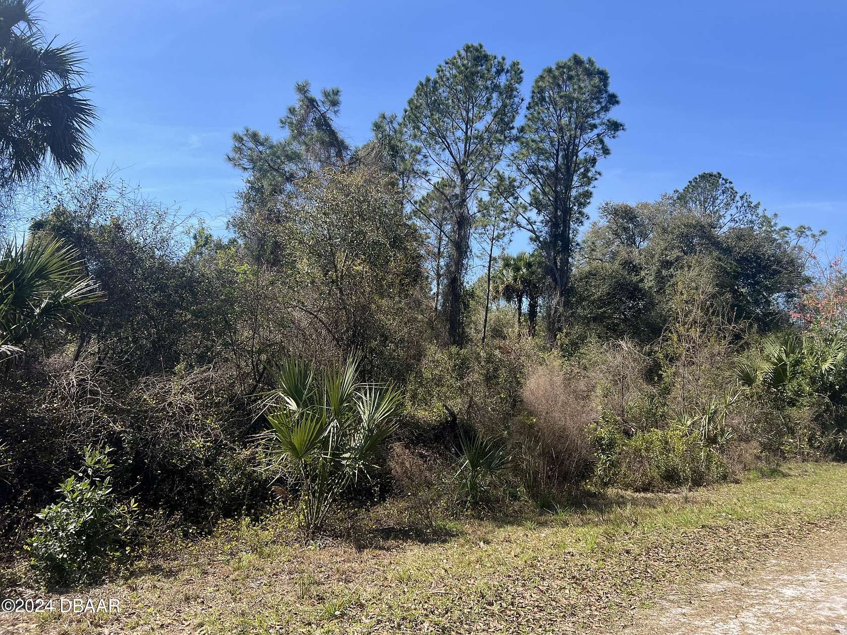 0.23 Acres of Residential Land for Sale in Georgetown, Florida