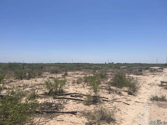 40 Acres of Land for Sale in Artesia, New Mexico