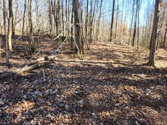 29.5 Acres of Recreational Land for Sale in Clifton, Tennessee