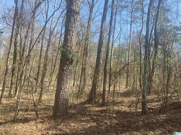 0.93 Acres of Residential Land for Sale in Wilsonville, Alabama