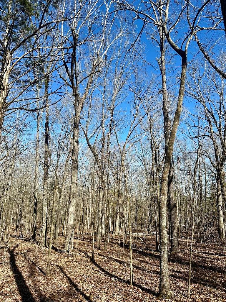 80 Acres of Recreational Land for Sale in New Site, Mississippi