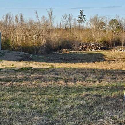 Land for Sale in Addison, Alabama