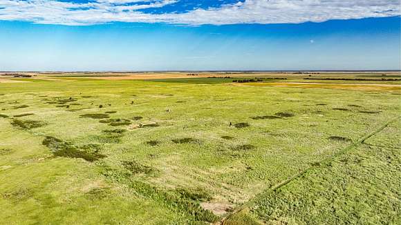 157.73 Acres of Recreational Land & Farm for Sale in Larned, Kansas