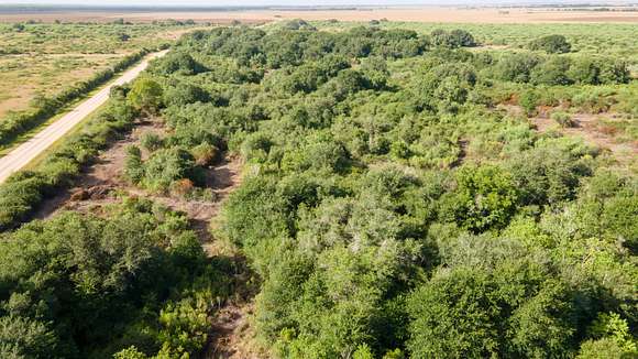 33 Acres of Land for Sale in Louise, Texas