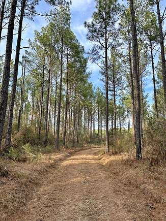 362 Acres of Recreational Land for Sale in Andalusia, Alabama