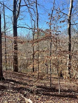 0.55 Acres of Land for Sale in Salem, Alabama