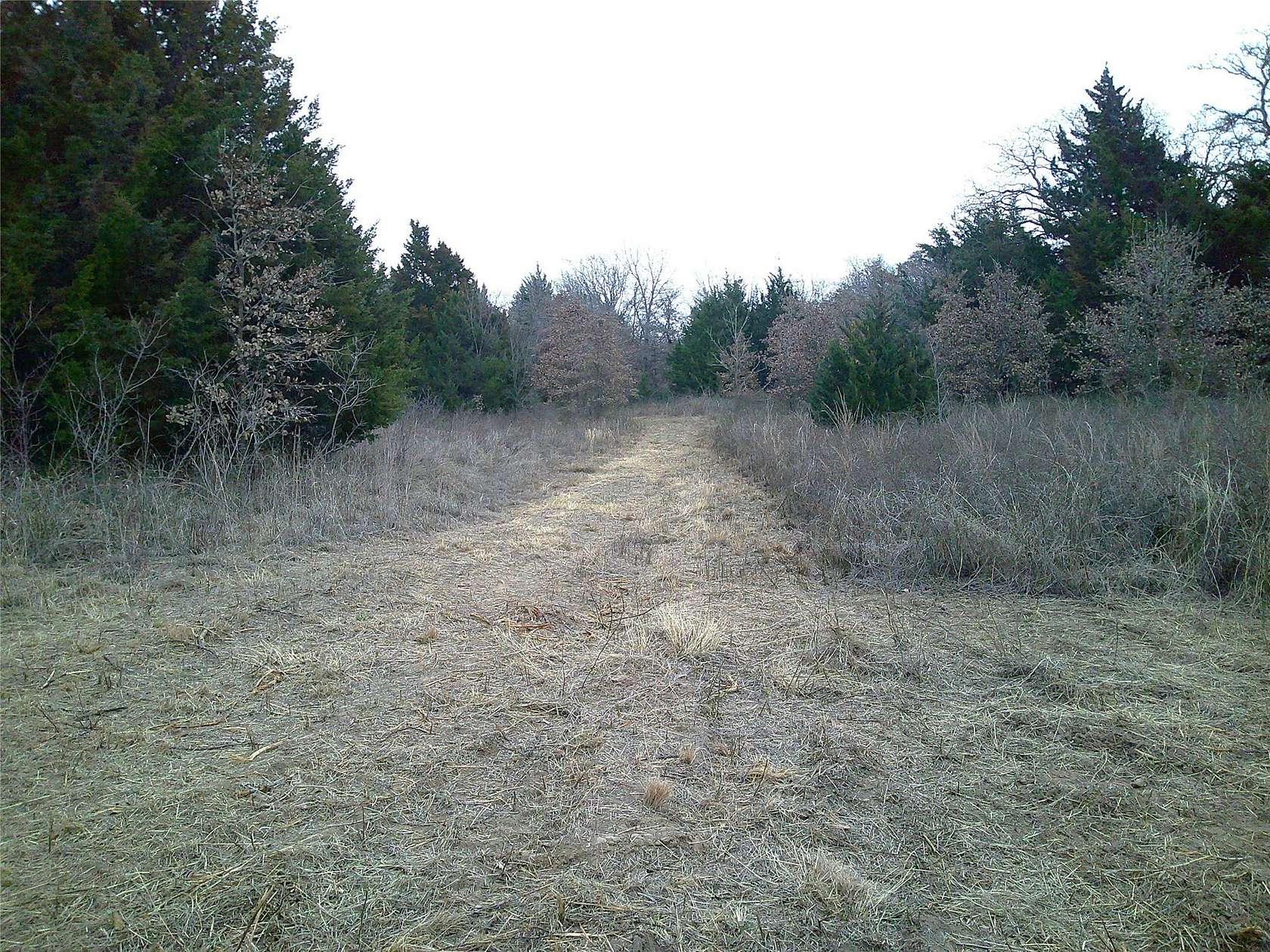20 Acres of Recreational & Residential Land for Sale in Montague, Texas