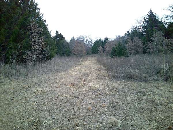 20 Acres of Recreational & Residential Land for Sale in Montague, Texas