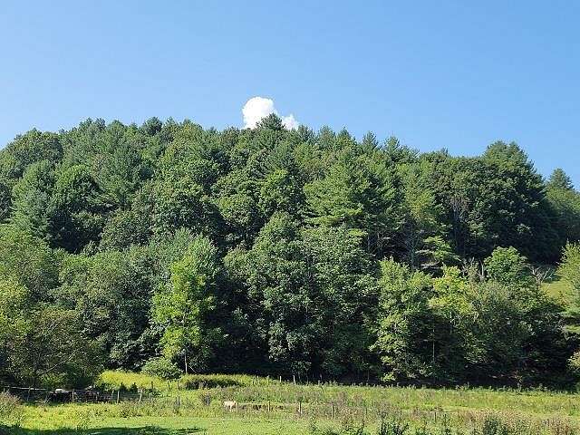 40.3 Acres of Recreational Land & Farm for Sale in Elk Creek, Virginia
