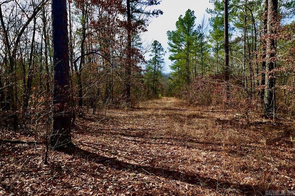 41 Acres of Land for Sale in Pangburn, Arkansas
