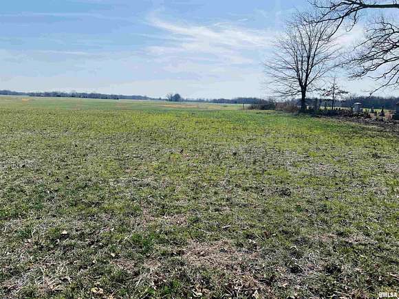 20 Acres of Agricultural Land for Sale in Omaha, Illinois