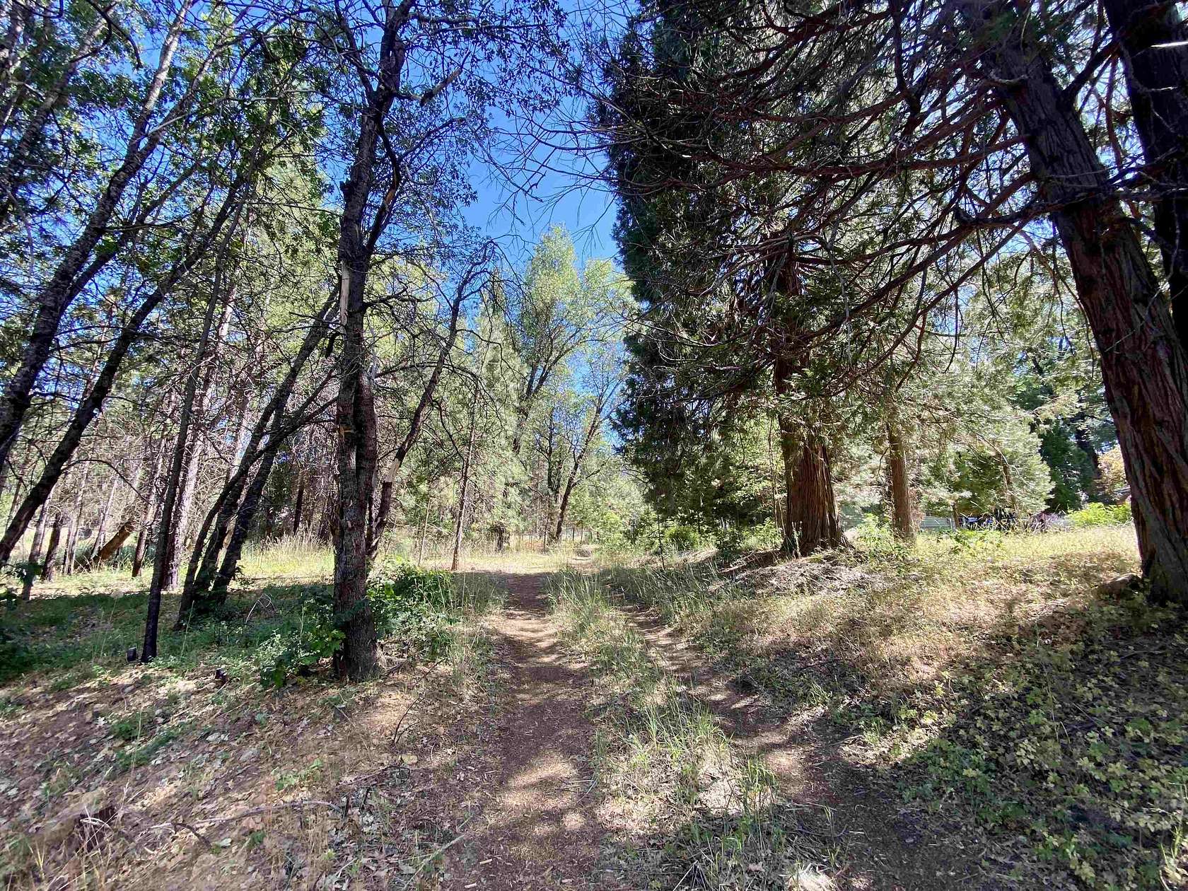 0.41 Acres of Residential Land for Sale in Greenville, California